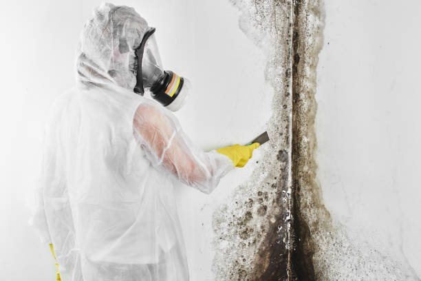 Best Mold Testing  in Garnett, KS