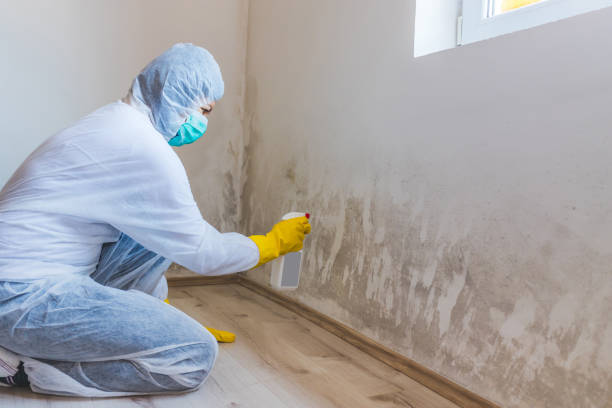 Best Fast Mold Removal  in Garnett, KS