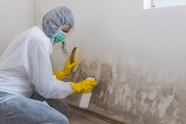 Best Crawl Space Mold Removal  in Garnett, KS