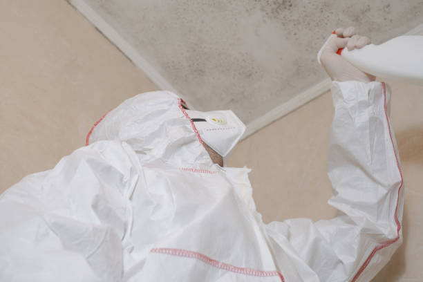 Best Mold Removal Company Near Me  in Garnett, KS