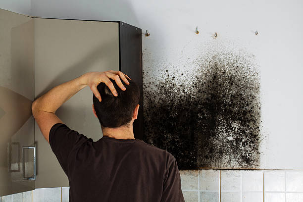 Best Crawl Space Mold Removal  in Garnett, KS